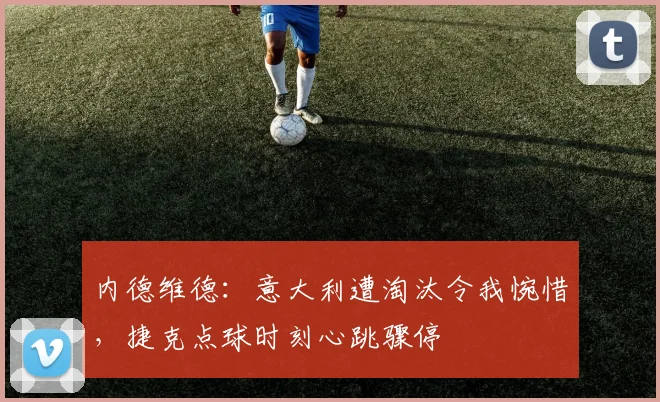内德维德：意大利遭淘汰令我惋惜，捷克点球时刻心跳骤停