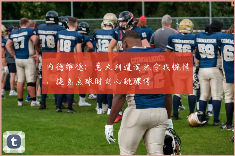 内德维德：意大利遭淘汰令我惋惜，捷克点球时刻心跳骤停