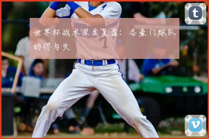 世界杯战术深度复盘:各豪门球队的得与失