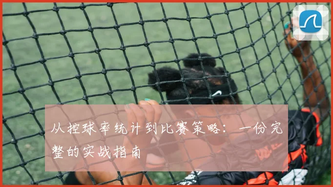 从控球率统计到比赛策略：一份完整的实战指南